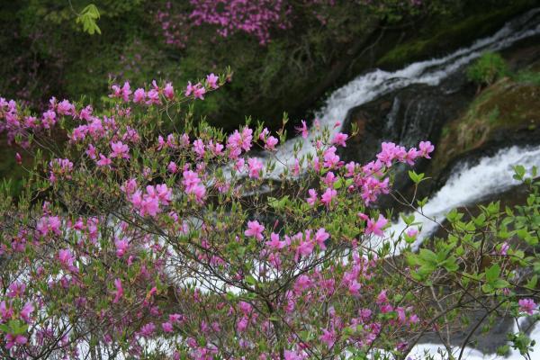 �����������ʥ��������ҥ��ߡ�